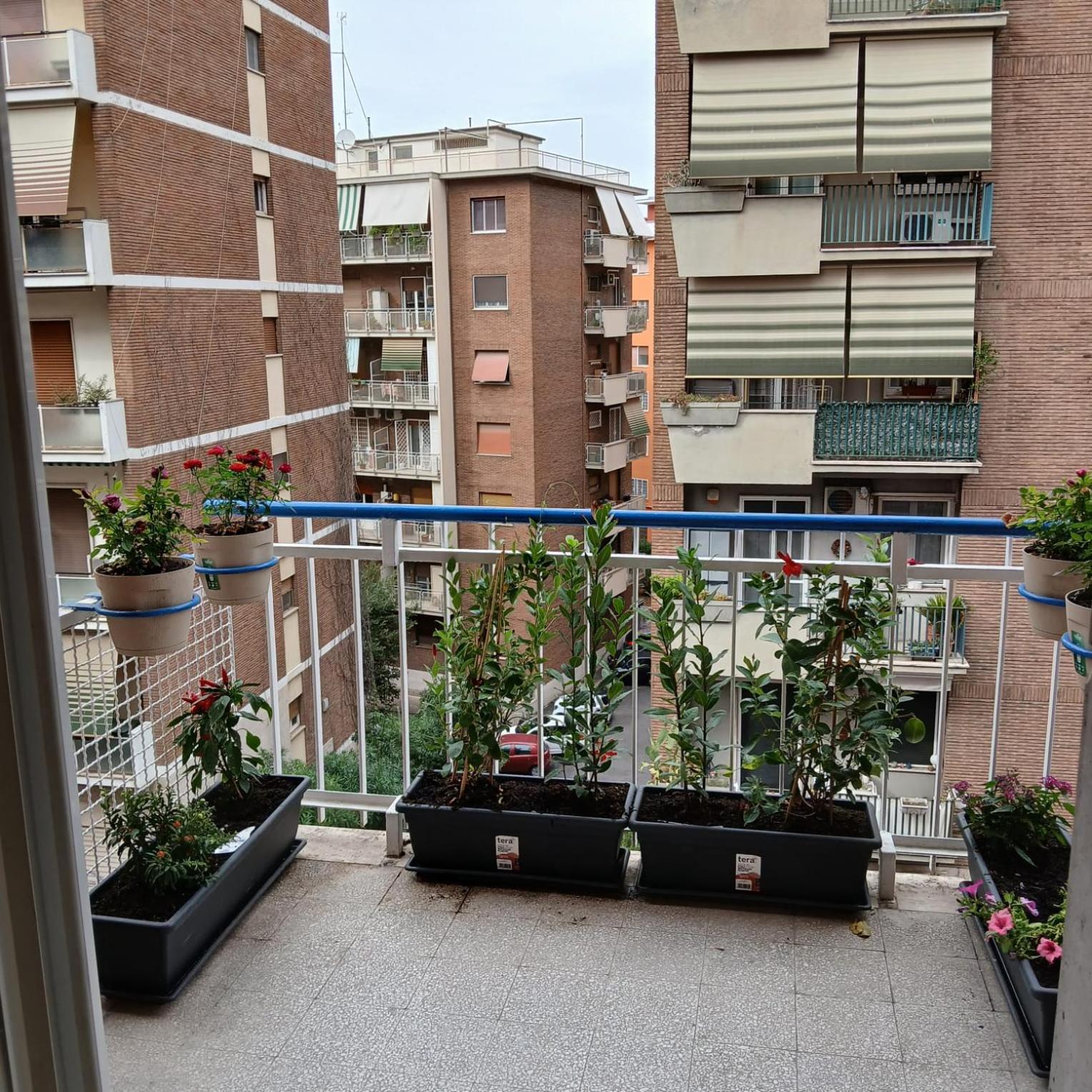 Grand Nomentana Roma Apartment Luaran gambar